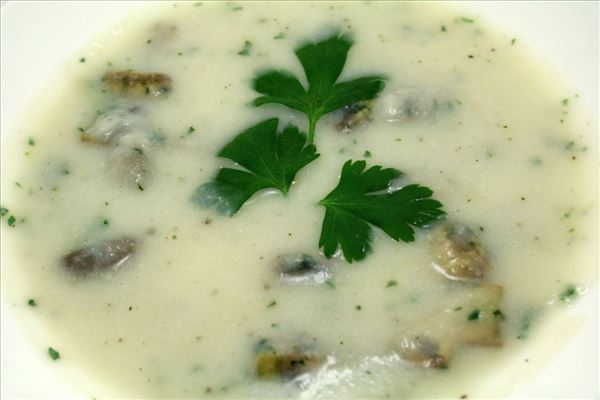 Cauliflower soup with mushrooms